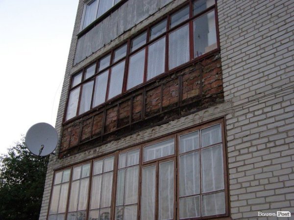 Червонокнижні тваринки заселили цілий район у Луцьку