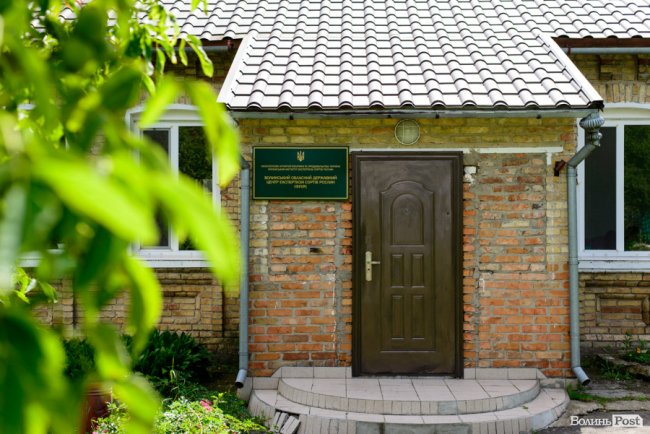 «Люблю кожен колосок»: розмова про 51 рік роботи серед пшеничного різноманіття. ФОТО