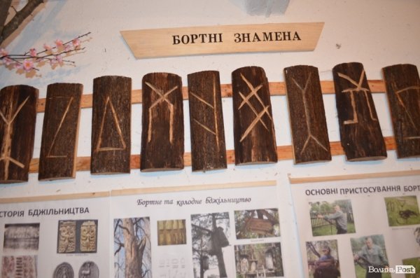 Бджільництво по-волинськи: луцькі пасічники створили «музей меду»