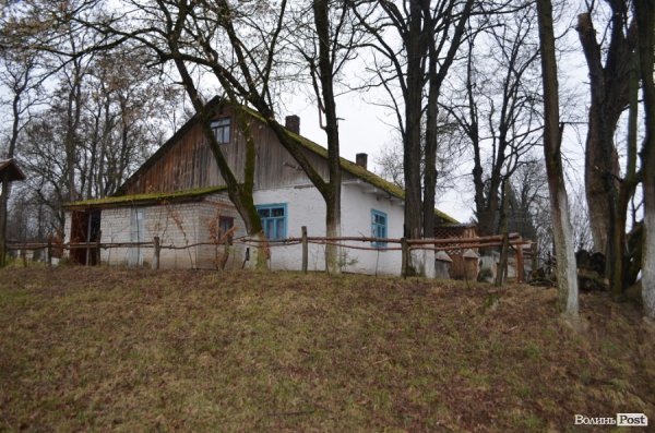 Бджільництво по-волинськи: луцькі пасічники створили «музей меду»