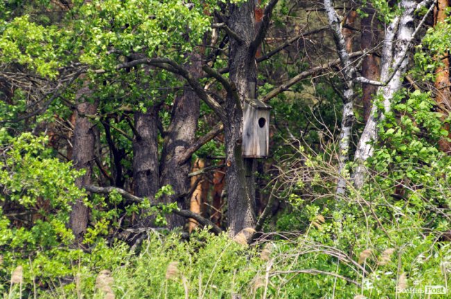Туристичні принади Волині: лабіринтами «Амазонки»