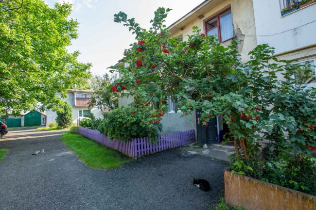 Як у звичайному гаражі в Княгининку народжуються унікальні дерев'яні іграшки