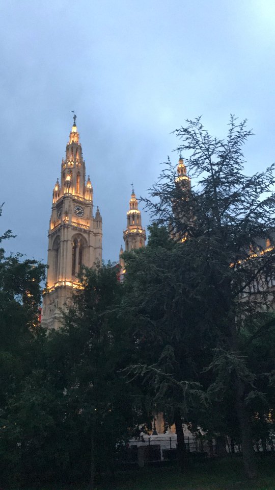 «Нотатки мандрівниці» Анастасії Лазуки про Відень