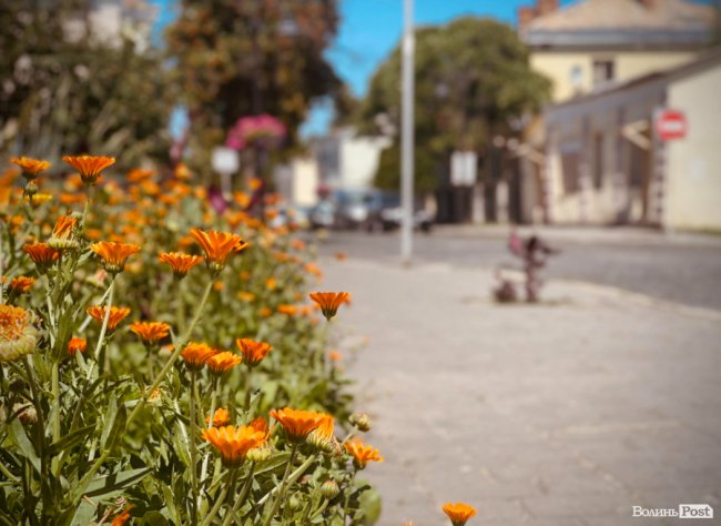 Війна та туризм: як Луцьк адаптується до нових викликів