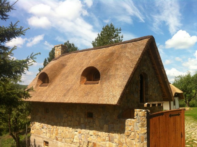 Стильно, екологічно, раціонально: дах з очерету – вибір людей 21-го століття* 