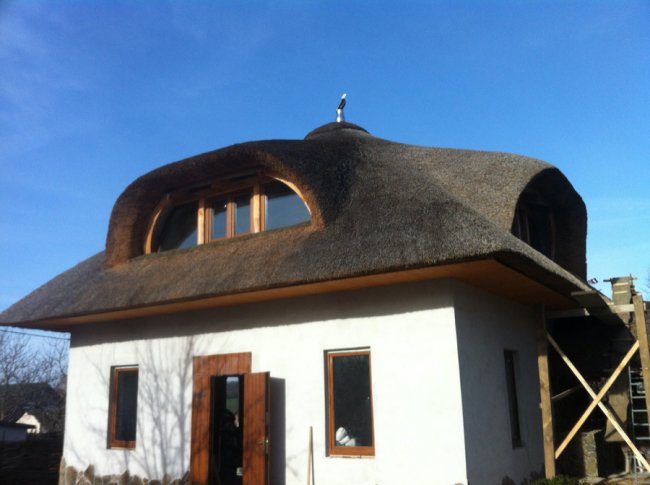 Стильно, екологічно, раціонально: дах з очерету – вибір людей 21-го століття* 