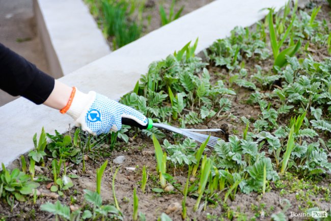 Від хімчистки меблів – до впорядкування могил: чому прибирання варто довірити луцькій клінінговій компанії «SAVA». ФОТО*