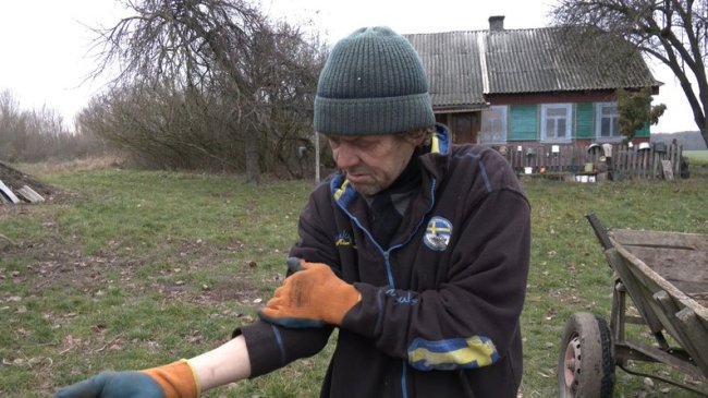 Сказ на Волині: чоловік відбивався від вовка вилами