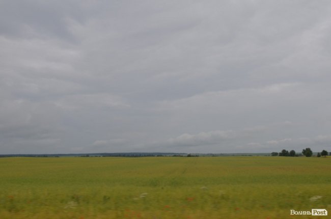 Талант бути простим: як господарює аграрій Валерій Діброва