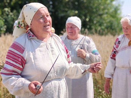 Жнива: які обряди збереглися на Волині