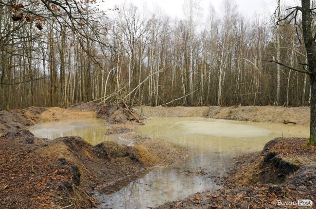 Лісівники показали, як розвивають мисливське господарство на Волині