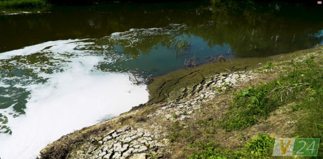 Очищені нечистоти зливають в Стир. Та чи очищені вони? Запах підказує інше...