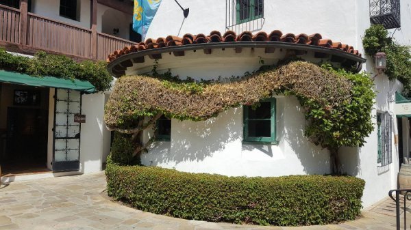 «Нотатки мандрівниці» Юлії Євпак: Санта-Барбара, бабусі в Instagram, качка в Білому домі