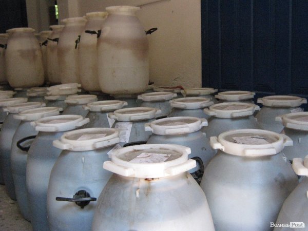 В гостях у квасу*