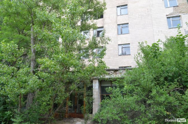 Будинки у Прип‘яті позаростали лісом