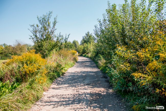 Чисте повітря та сільська тиша: за що лучани люблять Кічкарівку. ФОТО