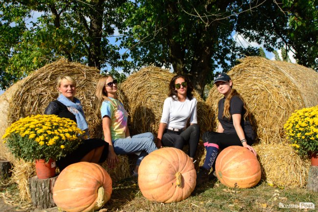 Знайомили з кіньми, катали на кареті і вчили малювати: під Луцьком – яскраве свято для «сонячних» діток. ФОТОРЕПОРТАЖ 