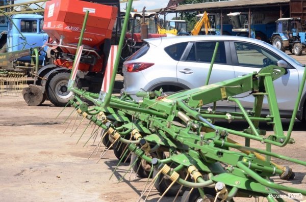 У волинському «Романові» корів купував навіть «Рошен»