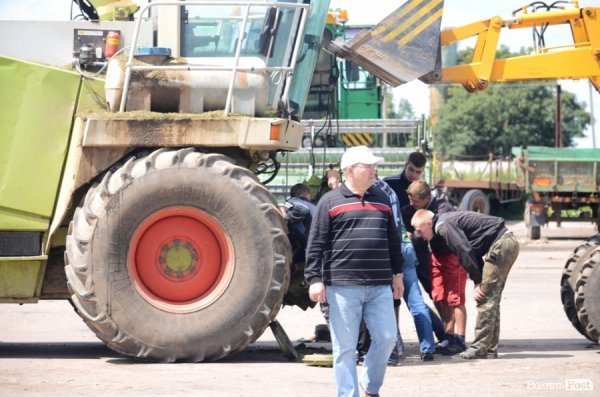 У волинському «Романові» корів купував навіть «Рошен»