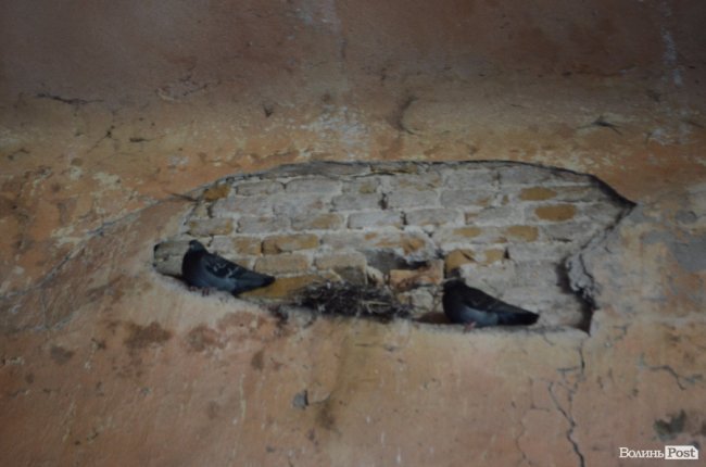 Мандрівка волинськими храмами: там, де пропагували ідеї Реформації