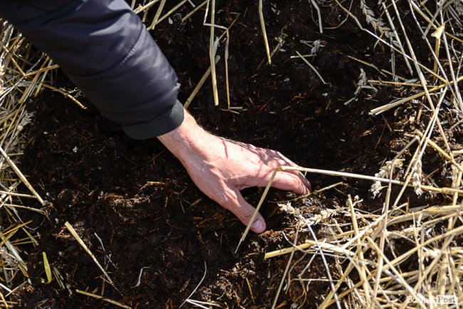 Знахідка для фермерів: луцька компанія створює біогумус для іноземців та всієї України* 