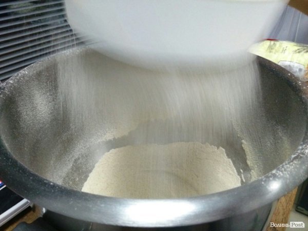 На Волині якість хліба дорівняли до якості кормів для худоби. ФОТО. ДОКУМЕНТ