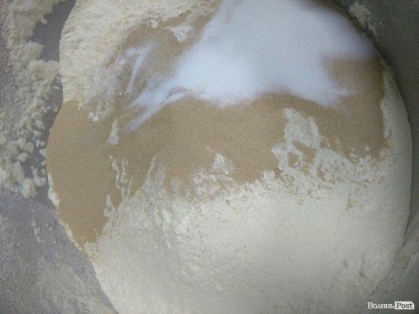 На Волині якість хліба дорівняли до якості кормів для худоби. ФОТО. ДОКУМЕНТ