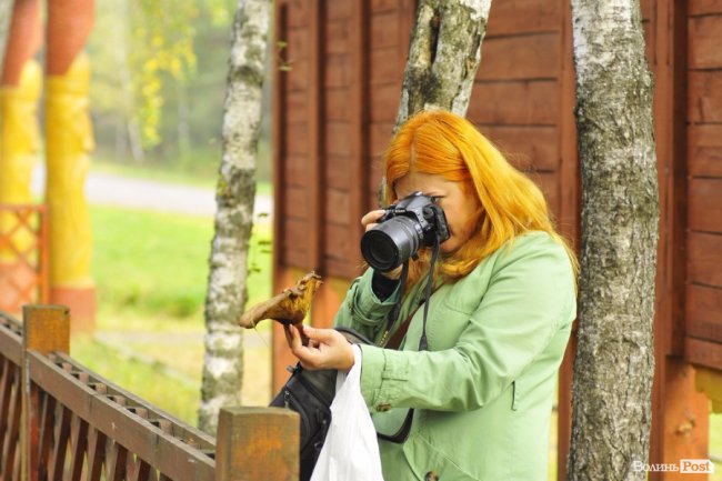 Маневицькими грибами смакуватиме Європа
