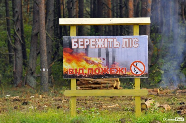 Маневицькими грибами смакуватиме Європа