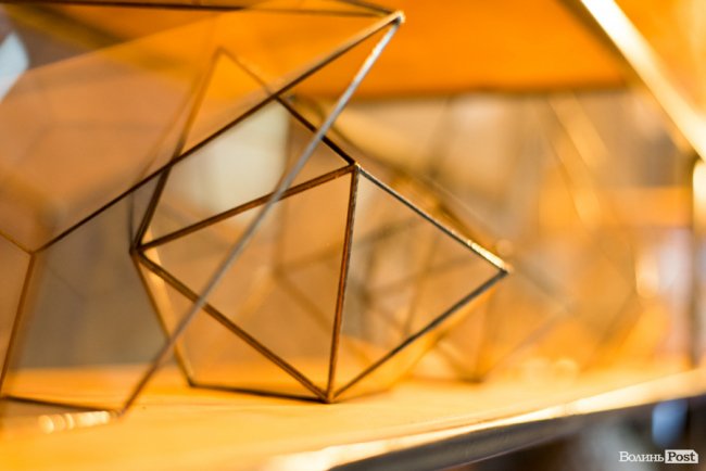 Бізнес у стилі «лофт»: майстриня з Луцька вирощує рослини в бетоні. ФОТО