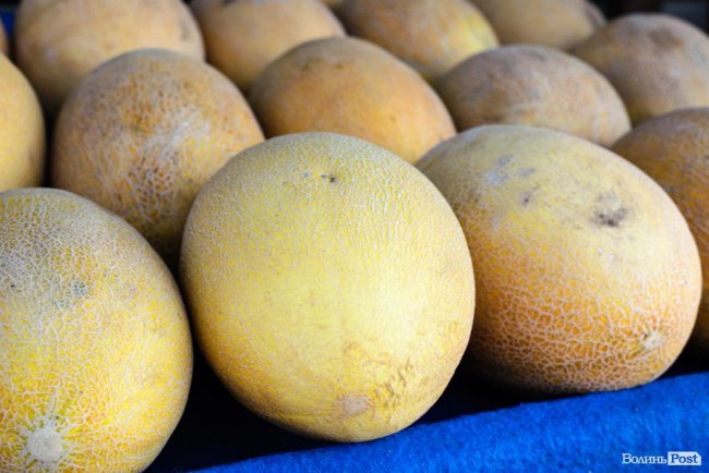 Про кавуновий бізнес і Україну: розмова з луцьким продавцем «смугастиків» із нотками азербайджанського акценту