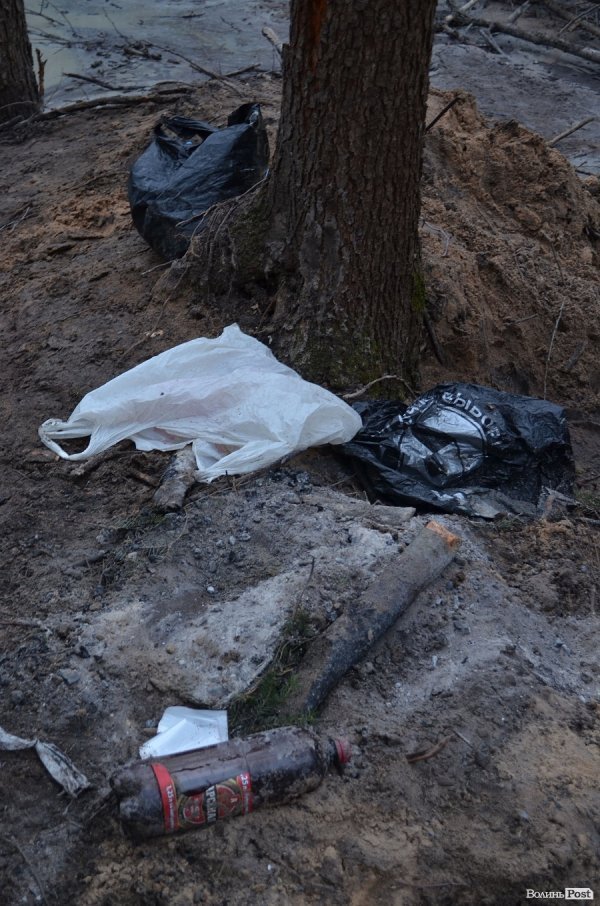 «Бурштинова мафія» на Волині: «криша», долари і селяни