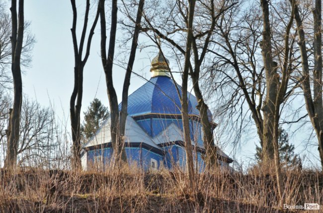 Заповідник чи «порохова діжка»: частина дерев у «Цуманській пущі» стала небезпекою