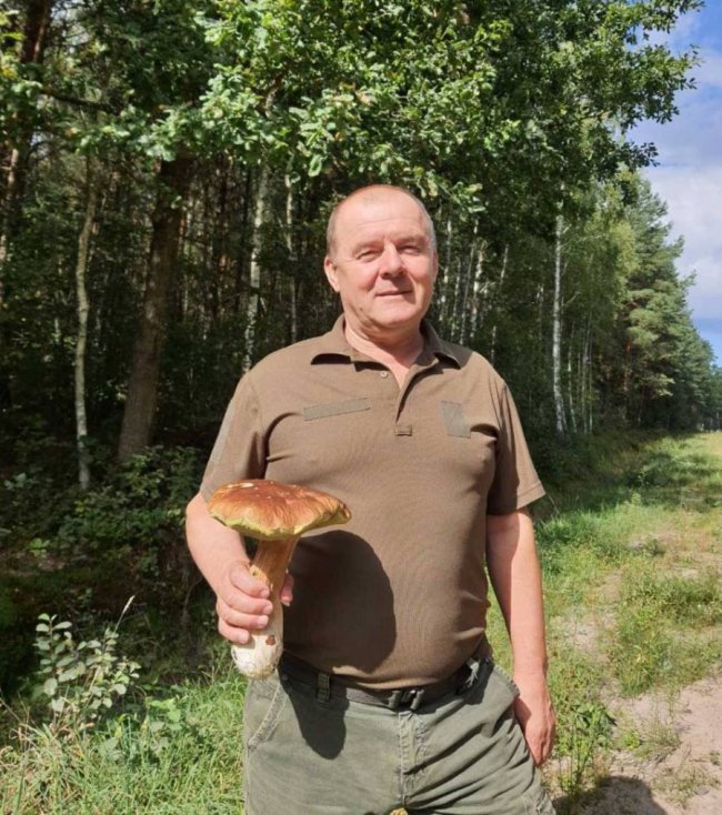 Як на Волині вирізали вікові дуби. Розслідування Як на Волині вирізали вікові дуби. Розслідування