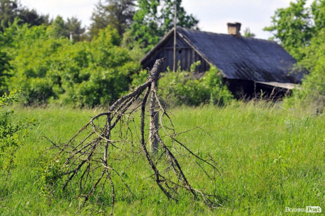 Місце, де спинився час: загублені на Волині Сваловичі 