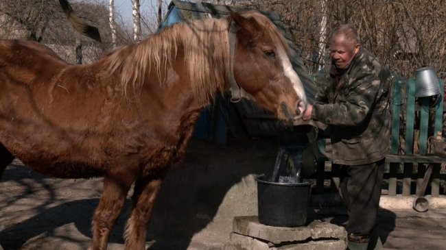 Війна в Ірані і посівна на Волині: наскільки зростуть витрати аграріїв