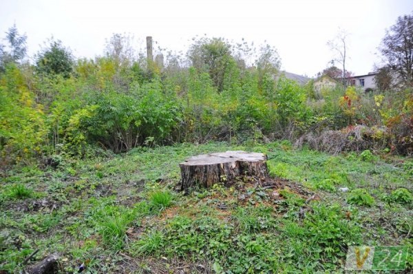 На руїнах слави