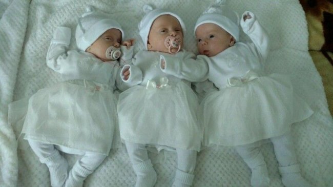Плачуть хором і їсти просять всі разом: історія трійні, що народилася на Волині торік