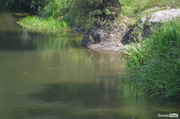 У якому стані луцькі пляжі. ФОТО