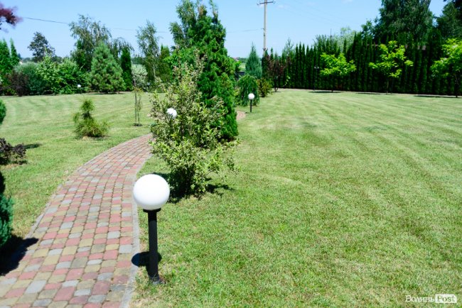   Місце сили Ірини Констанкевич. ІНТЕРВ’Ю ВДОМА У НАРОДНОЇ ДЕПУТАТКИ. ФОТО