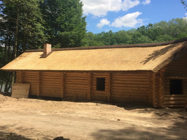 Стильно, екологічно, раціонально: дах з очерету – вибір людей 21-го століття* 