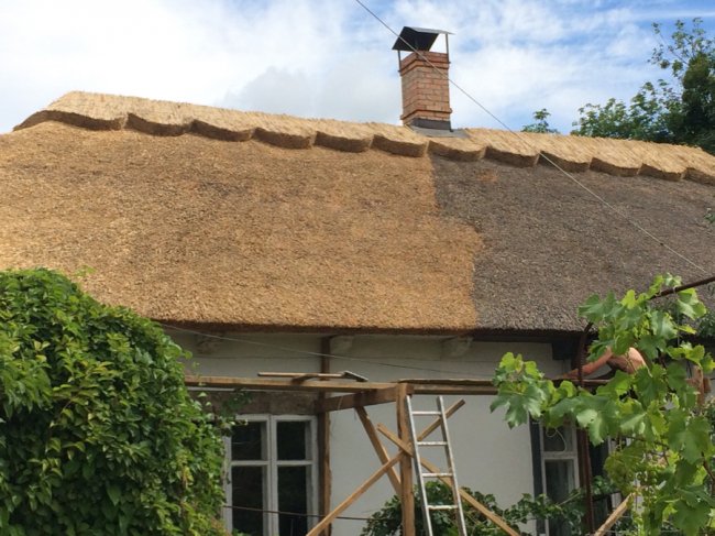 Стильно, екологічно, раціонально: дах з очерету – вибір людей 21-го століття* 