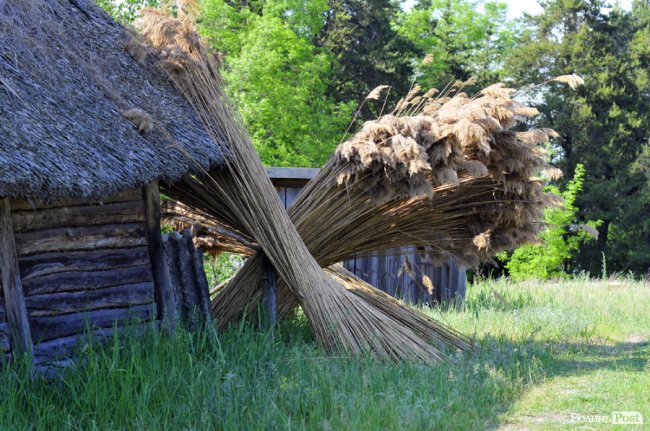 Місце, де спинився час: загублені на Волині Сваловичі 