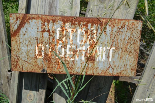 Життя на місці смерті: як зону відчуження «захоплює» ліс