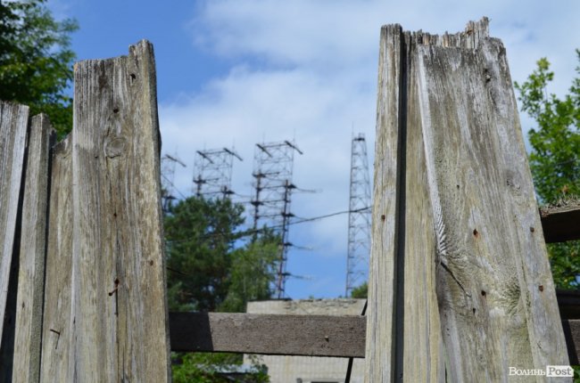 Життя на місці смерті: як зону відчуження «захоплює» ліс