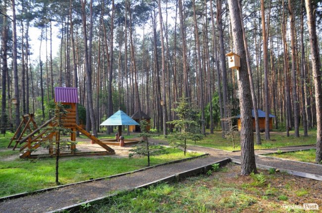 Маневицькими грибами смакуватиме Європа