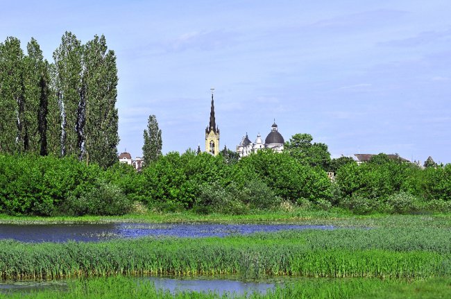 Один з краєвидів 
