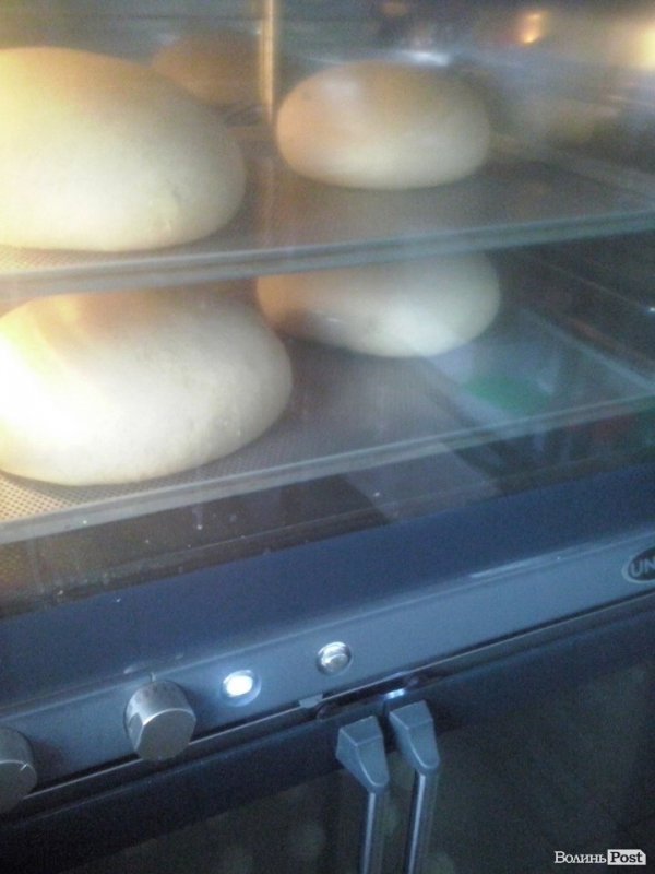 На Волині якість хліба дорівняли до якості кормів для худоби. ФОТО. ДОКУМЕНТ