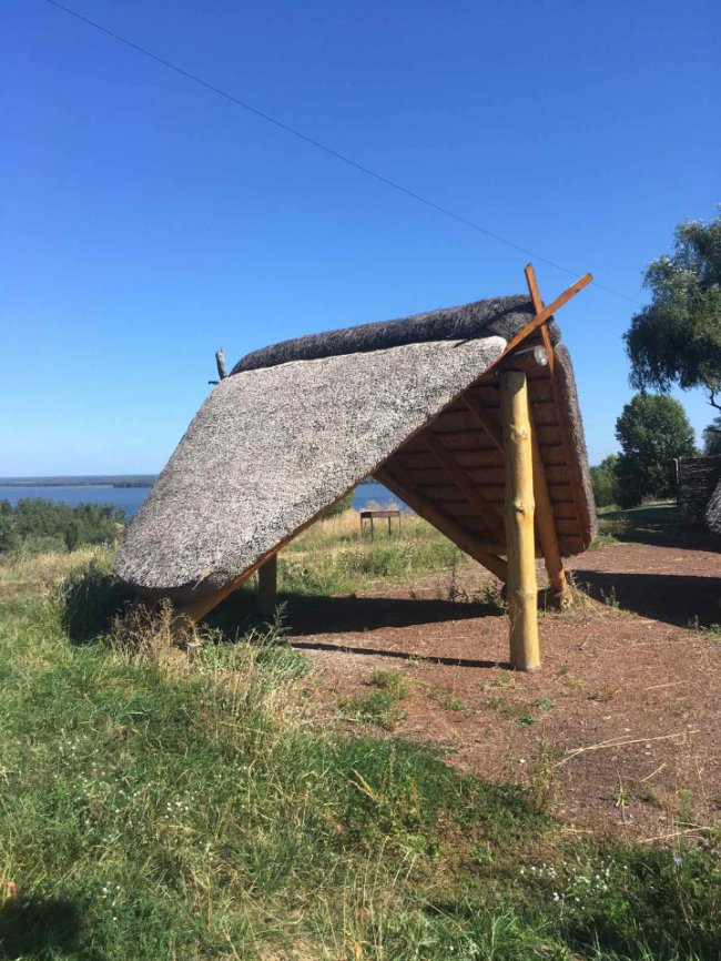 Стильно, екологічно, раціонально: дах з очерету – вибір людей 21-го століття* 