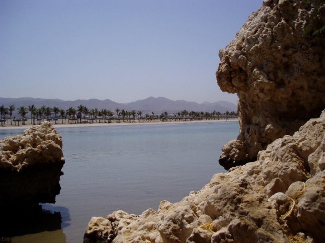 «Нотатки мандрівника» Ольги Дорошенко: Летіли в Таїланд – опинилися в Катарі